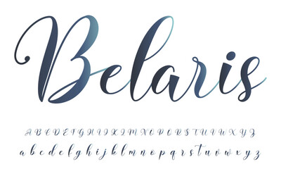 Hand drawn calligraphic vector monoline font. Distress signature letters. Modern script calligraphy type. ABC typography latin signature alphabet.