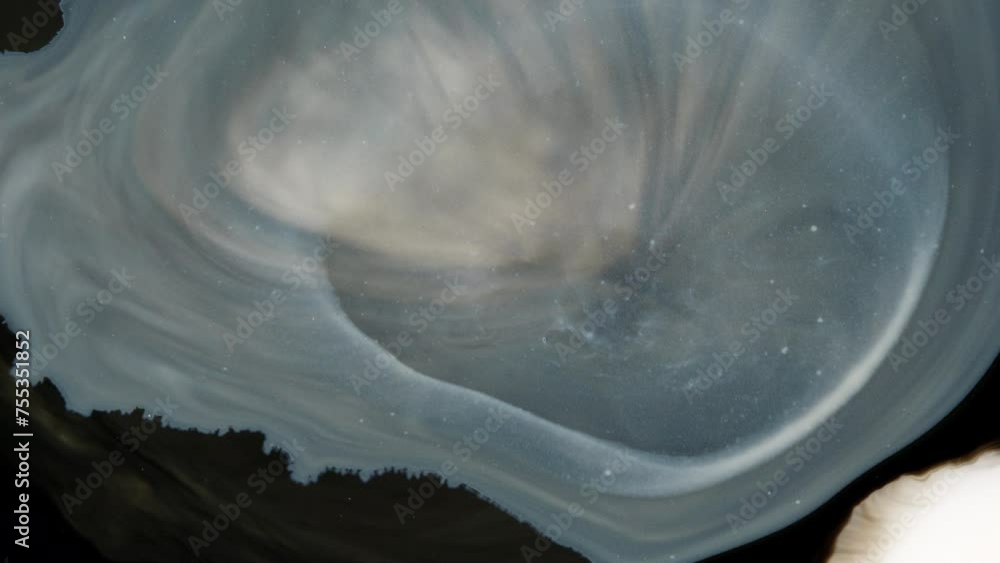 Poster white and black ink in solution that forms a beautiful. monochrome dimension. slow motion abstract.
