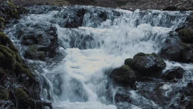 Small river spring time video