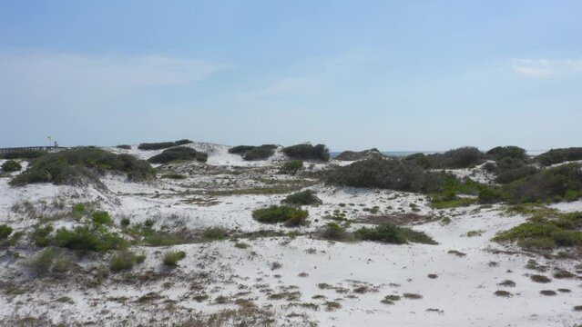 Sand Dunes on the Beach