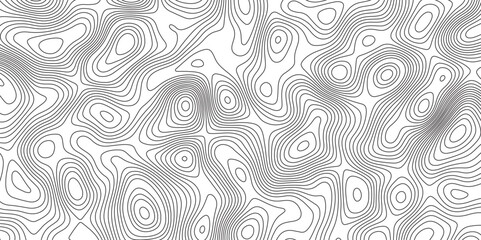 Black-white background from Ocean topographic. Geographic mountain relief. Panorama view gradient multicolor wave curve lines banner background design. 