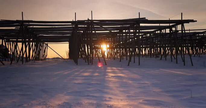 Wooden racks for dried cod fish and sunshine during winter season, fishing village Lofoten islands, Norway