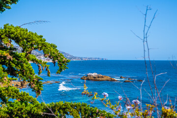 A beautiful overlooking view of nature in Laguna Beach, California