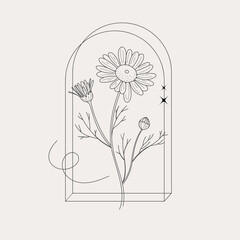 Chamomile for the logo. Trendy botanical elements. Hand drawn line leaves branches and blooms. Vector trendy greenery