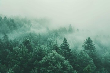 A cooling gradient transition from a deep forest green to a pale sage, offering a refreshing and natural aesthetic