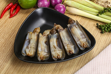 Raw fresh Razor clam mollusk