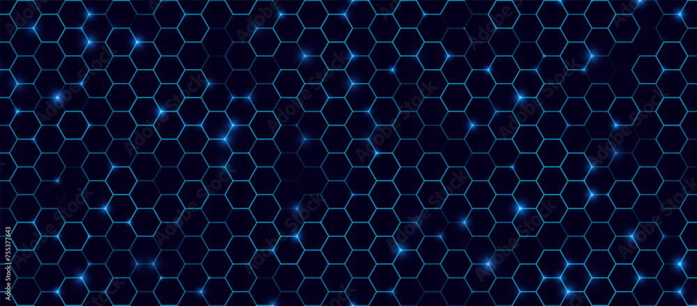 Leinwandbilder Dark Hexagon Abstract Technology or Science Background. Hi Tech Hexagon Grid. Vector Illustration.