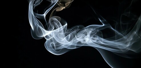 Fototapeta premium Abstract smoke moves on a black background.