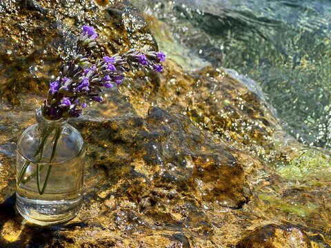 Lavender purple flowers in the glass vase on the stone.