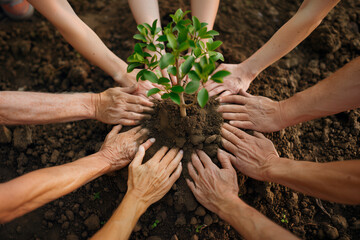 A group of people are planting a tree together. Concept of community and teamwork, as everyone is working together to help the tree grow. The act of planting a tree is symbolic of nurturing