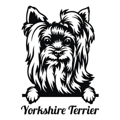 Yorkshire Terrier Dog - Peeking Dog Breed - Pet Dog Vector Portrait, Dog Silhouette Stencil