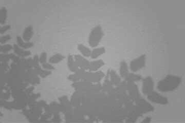 Natural light casts shadows from a leaves branches of tropical plants. Top view of the shadow on a textured grey colored background. Mockup