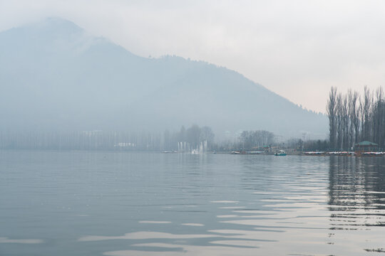 Misty Dal lake in Srinagar on the afternoon of January in Jammu and Kashmir. Still water with bare trees and shikaras in the background.