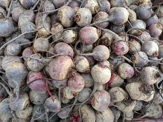 Top view of Fresh organic red beetroot (Beta vulgaris) stands out among many large background beetroots in the local wholesale market. Heap of natural beetroot root. Close-up red beetroot texture. 