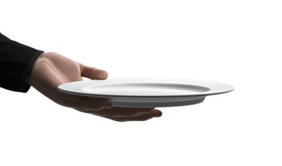 Portrait Waiter tray butler serve hold plate