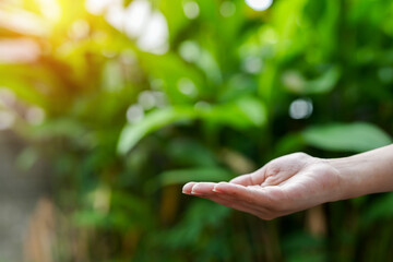 Technology,   Hands holding  globe of tropical nature summer background, 
