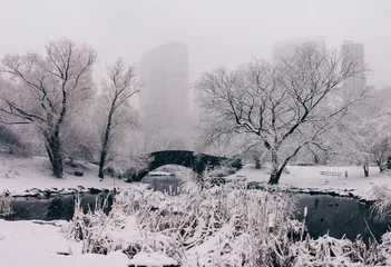 Foto auf gebürstetem Alu-Dibond Gapstow-Brücke Central Park. New York. USA in winter covered with snow. Gapstow bridge.