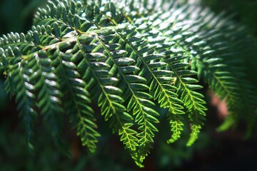 close up blurred or unfocused  green leaf texture background