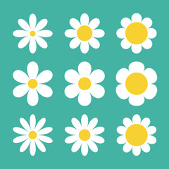 Daisy chamomile set. Nine camomile white icon. Cute round flower head plant collection. Growing concept. Love card symbol. Simple flat design. Nature style. Isolated. Green background. - 755400803