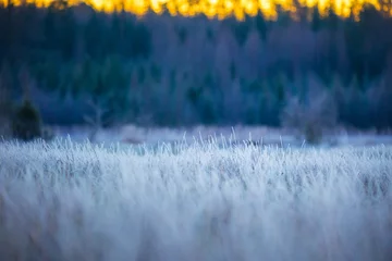 Foto op Aluminium Noord-Europa A beautiful winter landscape with little snow. A seasonal scenery of Northern Europe.