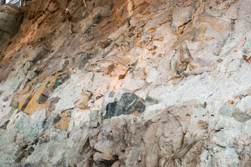 Fossils at Dinosaur National Monument