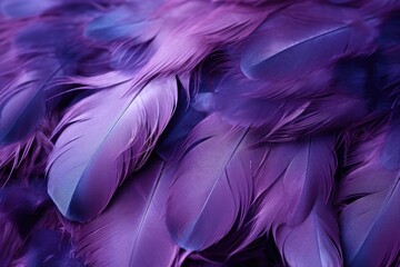 Detailed close-up of purple bird feathers, suitable for nature and wildlife themes