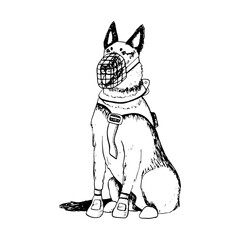 K9 sitting dog of German shepherd or belgian malinois in muzzle and vest vector illustration. Ink drawing of military guard dog for Veteran day designs