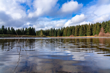 Zankwieser Teich im Harz
