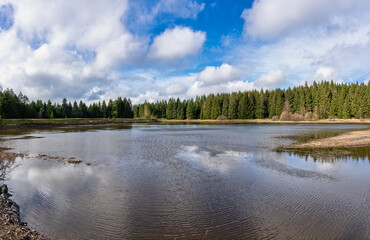 Zankwieser Teich im Harz