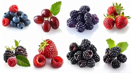 Poster Studies on antioxidant levels in various berries © NIPAPORN