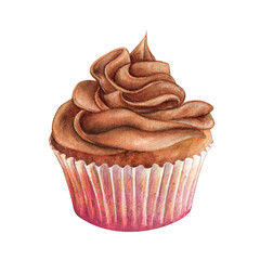 Cupcake muffin cream watercolor drawing chocolate in nice paper. Cake bakery tasty dessert illustration. Birthday celebration pastry aquarelle picture isolated on white background