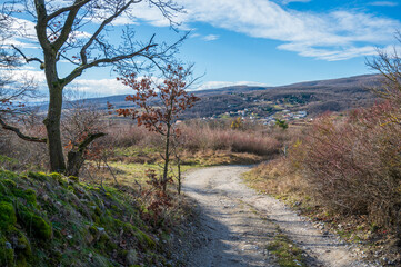Road between bushes with view of wooded hills with the horizon. Autumn.