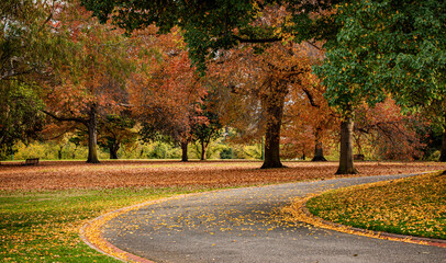 The view of the winding footpath covered by fallen leaves in the Royal Botanic Gardens Victoria in Melbourne in the autumn
