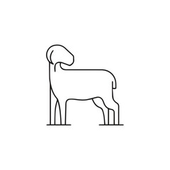 Sheep icon vector. Linear style sign for mobile concept and web design. Sheep symbol illustration. Pixel vector graphics - Vector.	