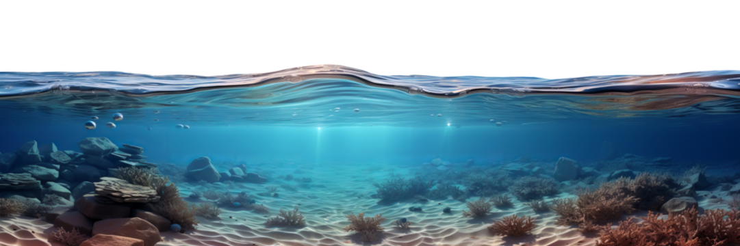 Half-water view with undulating surface and underwater world