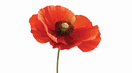 poppy vector flat vector isolated on white background