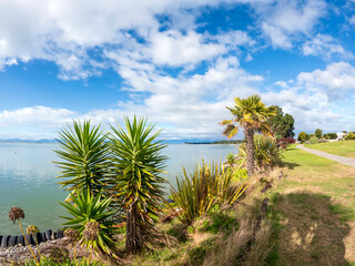 Motueka Beach Reserve Landscape with green native plants and blue sea water, Motueka, New Zealand