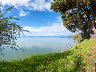 Motueka Beach Reserve Landscape with green native plants and blue sea water, Motueka, New Zealand