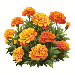 A cluster of marigolds in a garden
