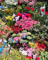 Keuken spatwand met foto a variety of flowers in colorful colors © Jjin