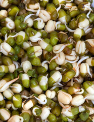 Mung bean sprouts, delicious healthy add on to any salad.
Full frame, close-up.
