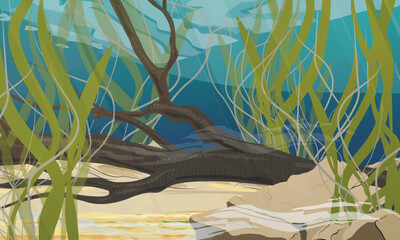 The bottom of a pond, lake or river with stones, algae and sunken tree branch. Realistic vector underwater landscape