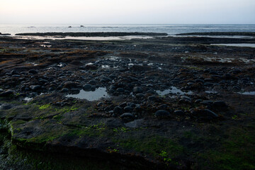 View of the moss-covered beach in the morning