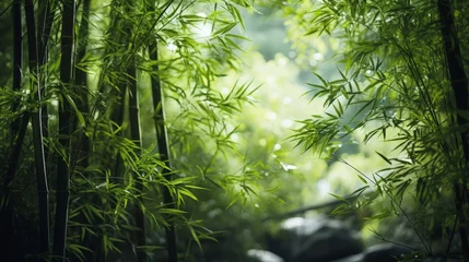 Fototapeten Lust green bamboo forest, Japan  © robfolio