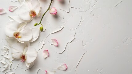 Serene composition of white orchid flowers and scattered petals on a textured grey background,...