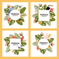Tropical flora, fauna vector label paradise design set, cockatoo hummingbird bird, beautiful exotic blossom wild flowers