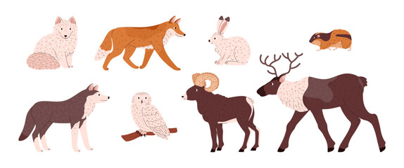 Set of tundra birds and animals.
