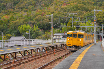 Naklejka premium １１５系