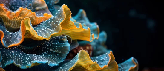 Foto op Plexiglas A colorful coral reef with blue and yellow flowers © Sunshine