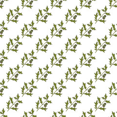 Seamless pattern with Overcup oak (Quercus lyrata), ornamental and medicinal plant